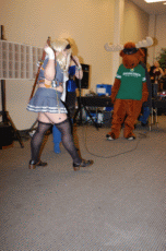 ValleyCon 37 - 2011